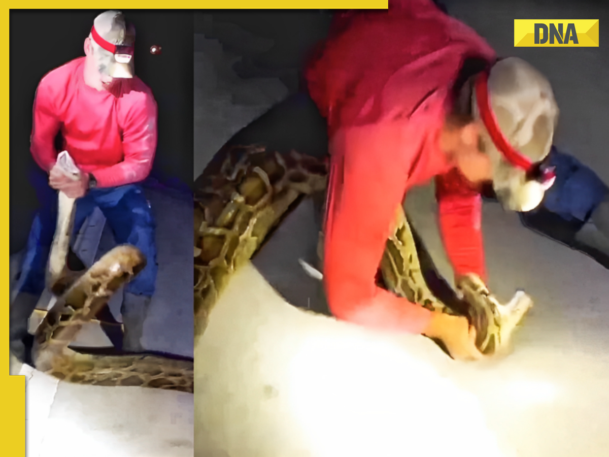 Man wrestles monstrous python bare-handed, viral video leaves internet ...