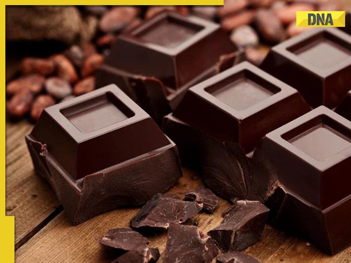 Myth or fact: Is chocolate craving an indication of magnesium deficiency?