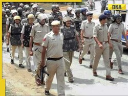 Haryana: Schools, colleges, banks to remain closed in Nuh today in view of Shobha Yatra