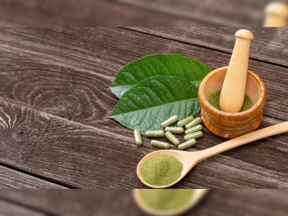 5 Best Kratom Vendors  – Buy Kratom – Kratom For Sale Online