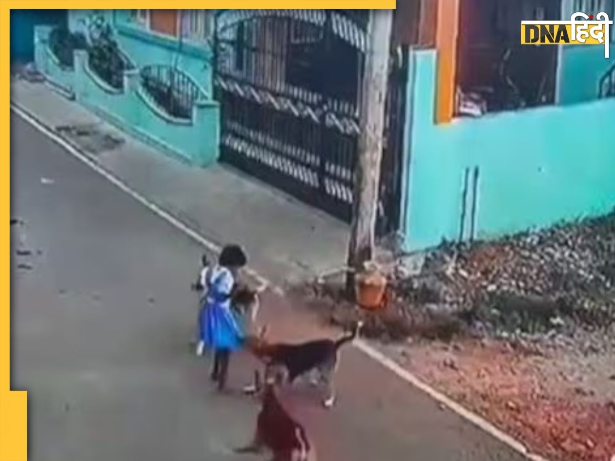 Dog attack viral video: स्कूल से आ रही बच्ची पर कुत्तों ने किया हमला, सड़क पर नोच नोच खाया, वीडियो