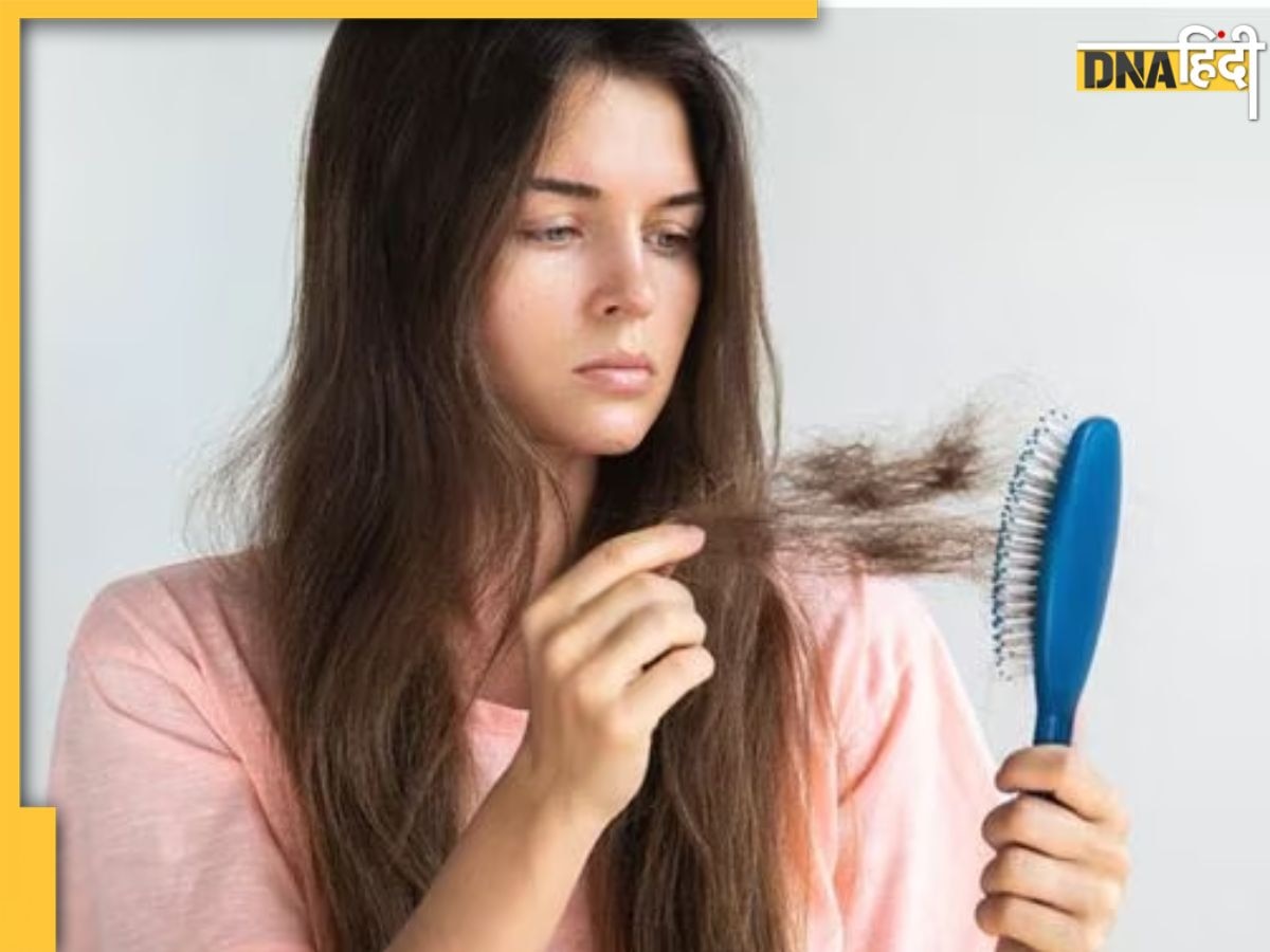 Herbs For Hair Growth: ये 4 जड़ी-बूटियां बढ़ा देंगी बालों का ग्रोथ, हेयर फॉल और डैंड्रफ की समस्या भी होग�ी दूर