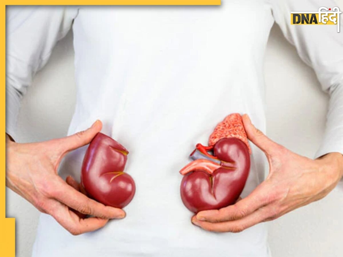 Kidney Health: इन 10 हैबिट्स के कारण खराब हो सकती है किडनी, आज ही छोड़ दे ये आदतें