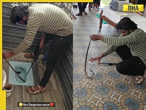 Viral video: Brave man rescues venomous cobra hiding in toilet, internet is terrified