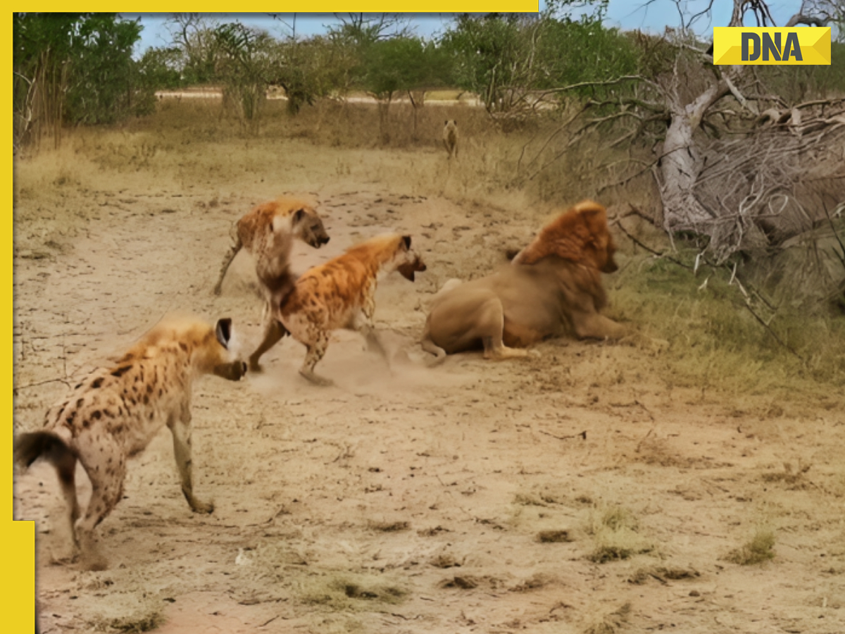 Cobra Trapped in Bottle