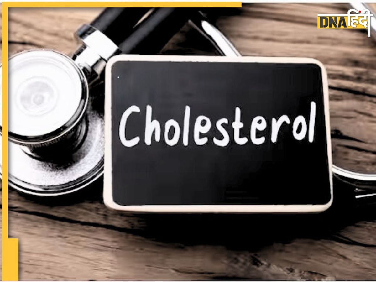 Bad Cholesterol Remedy: नसों की चर्बी बिना दवा इन 5 तरीकों से पिघलेगी, गंदा कोलेस्ट्रॉल निकेलगा शरीर से बहार