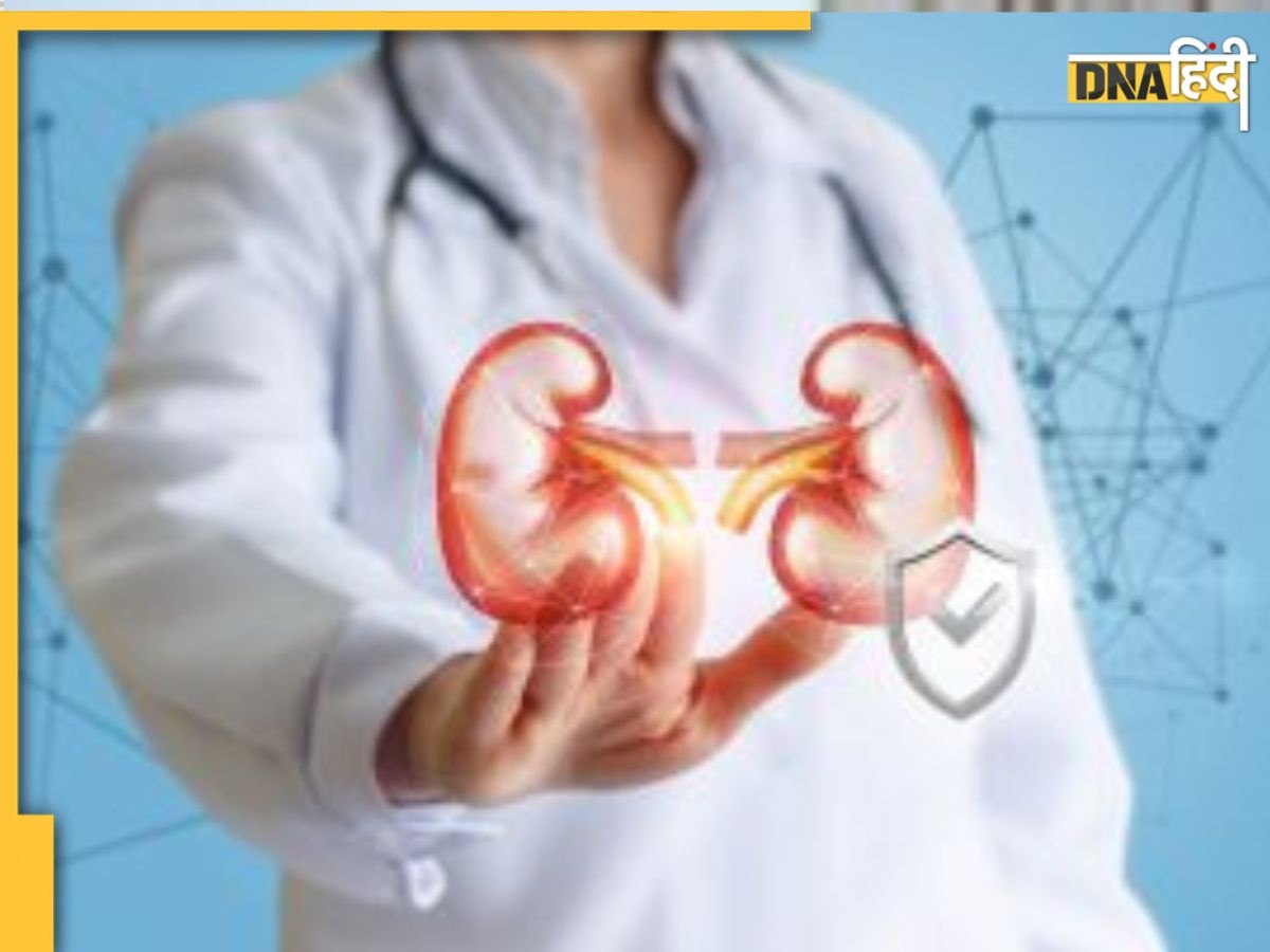 Kidney Detox Remedy: किडनी की फिल्टरेशन क्षमता बढ़ा देंगें ये 5 तरीके, शरीर की गंदगी निकलेगी बाहर