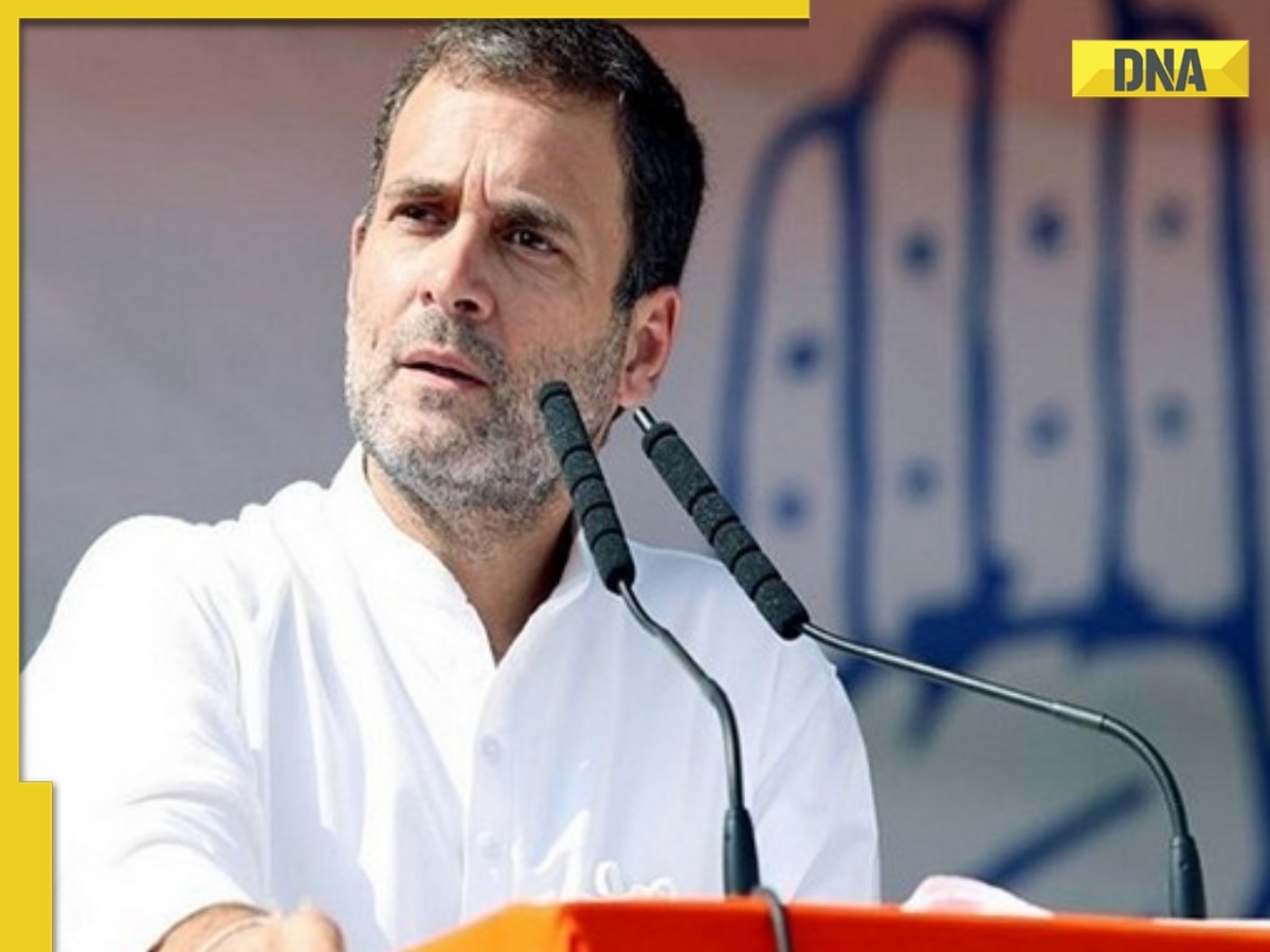 Rahul Gandhi shares glimpses from his Bharat Jodo Yatra as it completes one year, says 'Yatra continues till...'