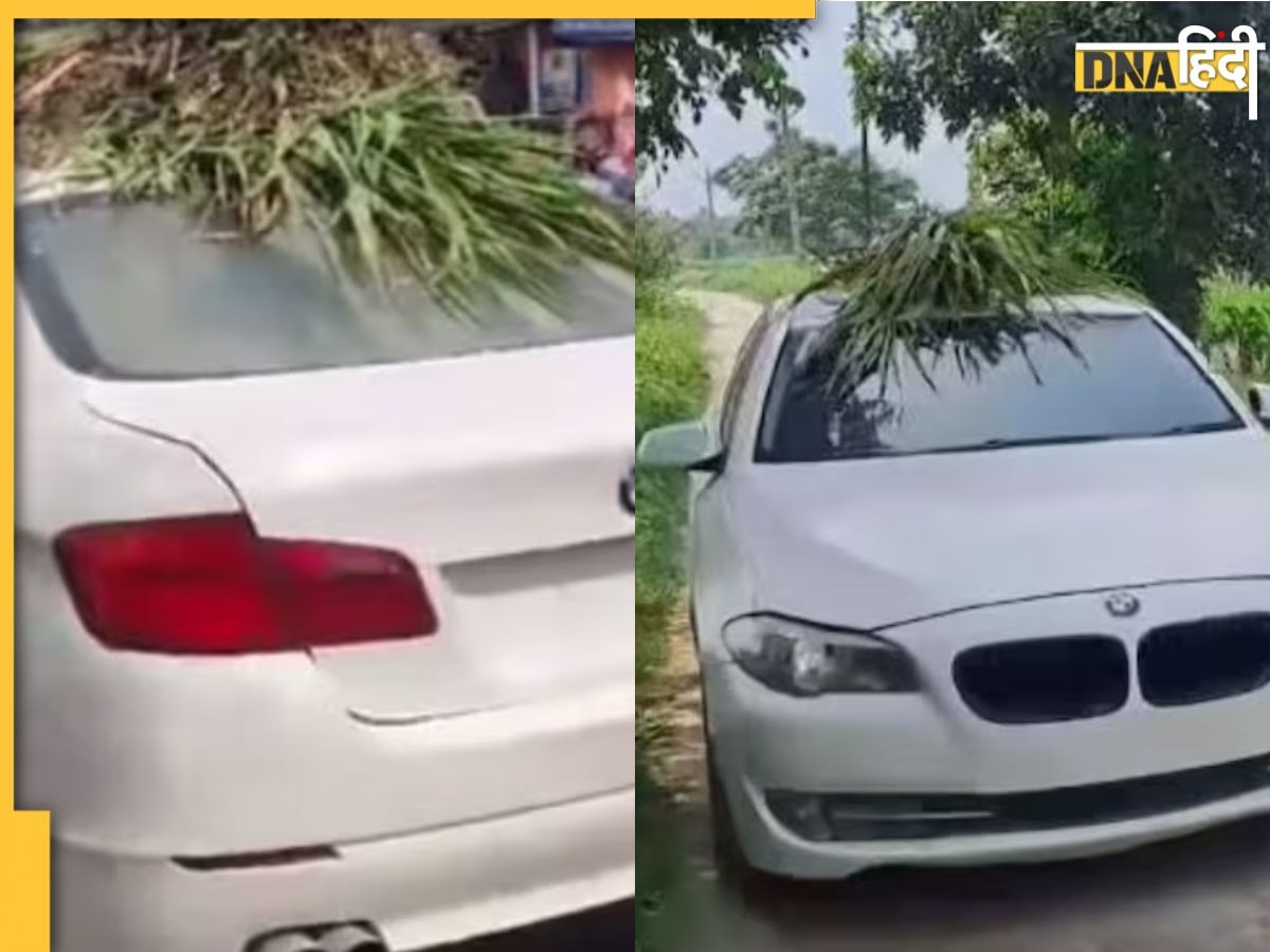 BMW Viral Video: एक करोड़ी कार में ढो रहा भैंस का चारा, बिहार के इस किसान का देखिए जलवा