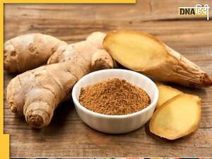 Raw Ginger vs Dried Ginger: कच्चा या सूखा अदरक, कौन शरीर को रखेगा रोगमुक्त? 