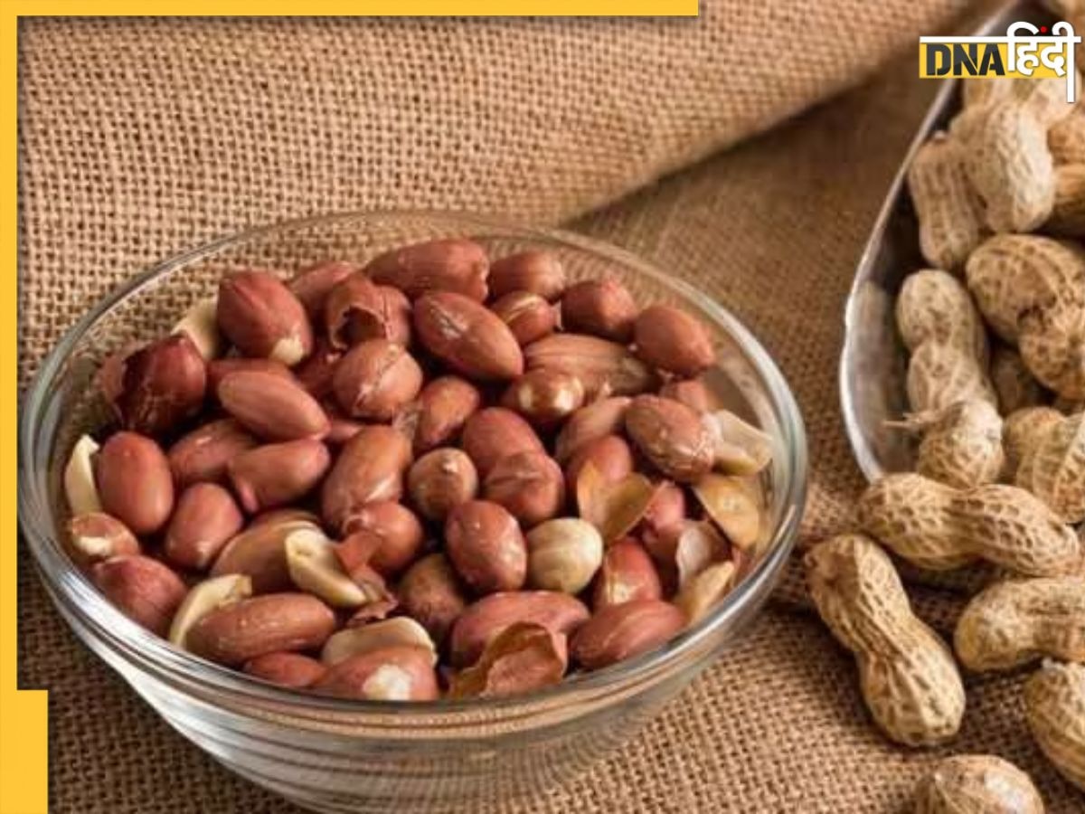 Soaked Peanuts Benefits: रोज सुबह खाएं भीगी हुई मूंगफली, दिमाग चलेगा कंप्यूटर से भी तेज, मिलेंगे और भी कई फायदे