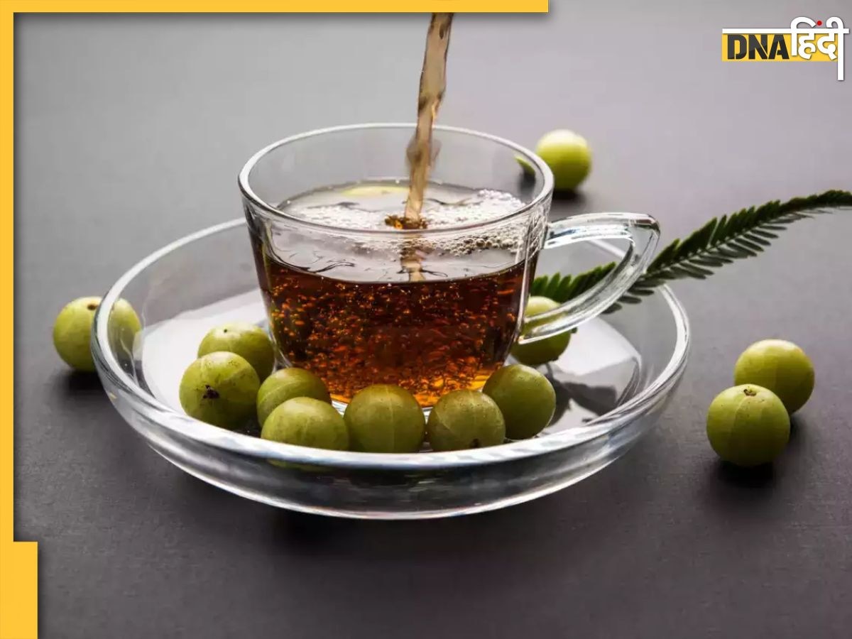 Amla Tea For Diabetes: डायबिटीज मरीज दिन में 2 बार पिएं इस फल से बनी चाय, कंट्रोल में रहेगा ब्लड शुगर और मोटापा