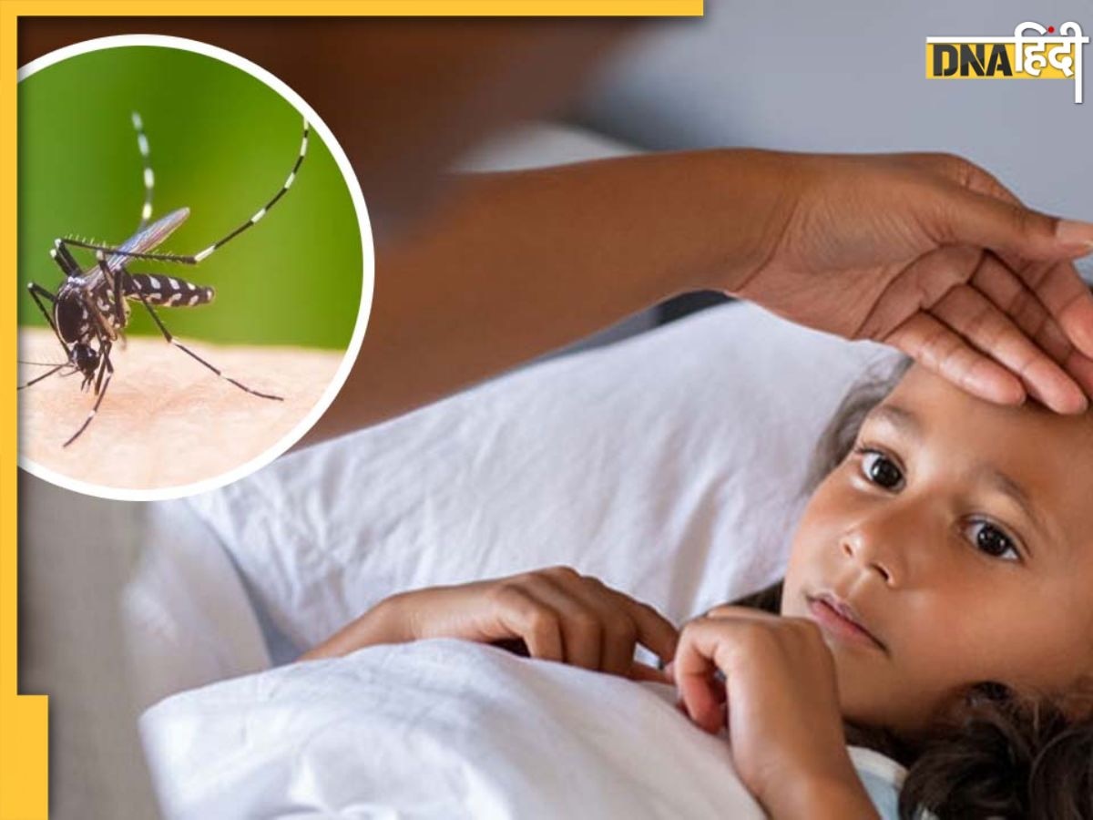 Dengue Fever: घर पर ही सही होगा डेंगू, नहीं पड़ेगी हॉस्पिटल में एडमिट होने की जरूरत, करें ये काम