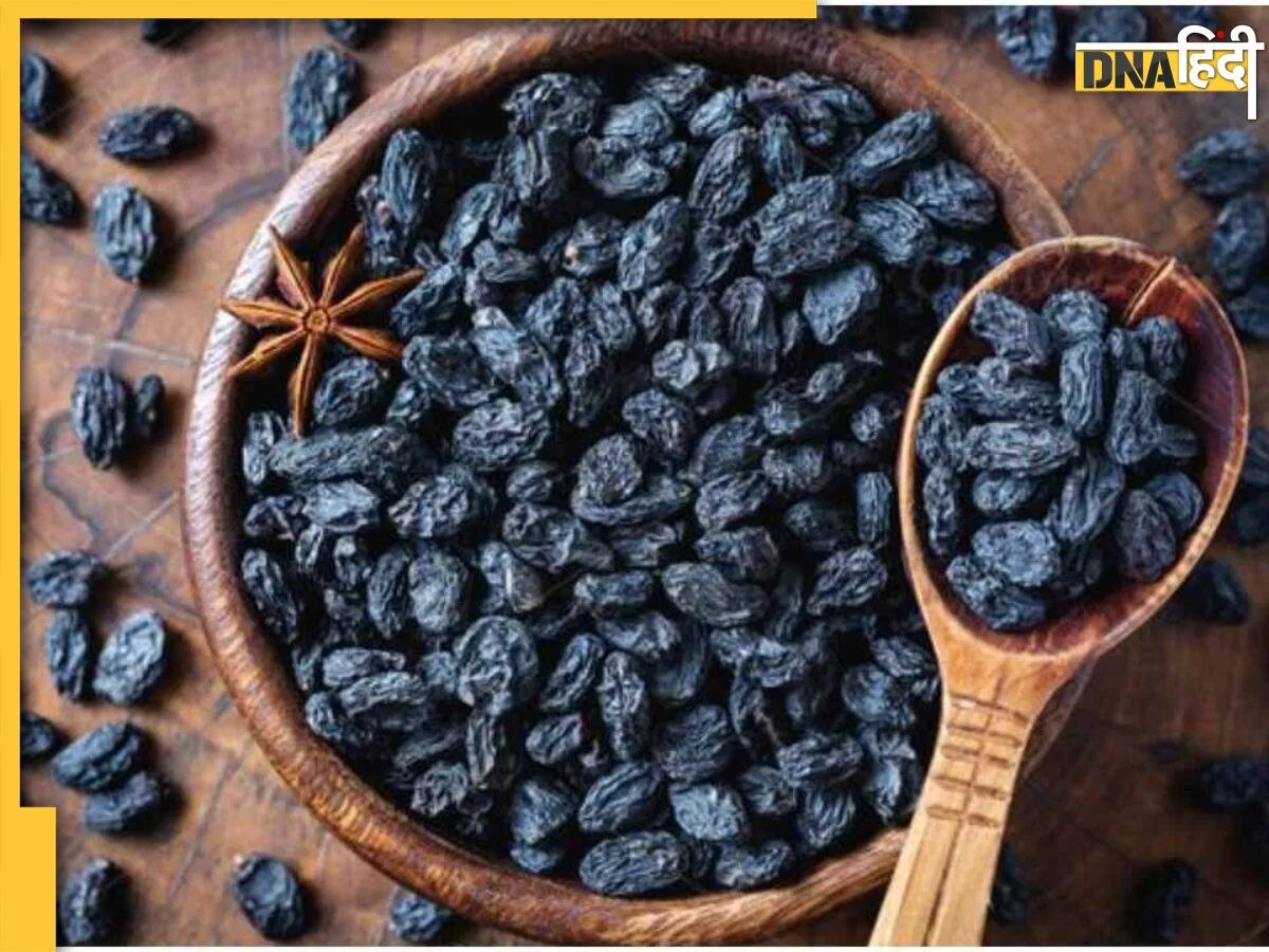 Black Raisins Benefits: ब्लड प्रेशर के हैं मरीज तो खाली पेट खाएं ये काली चीज, बीपी से लेकर कंट्रोल हो जाएगा हेयरफॉल