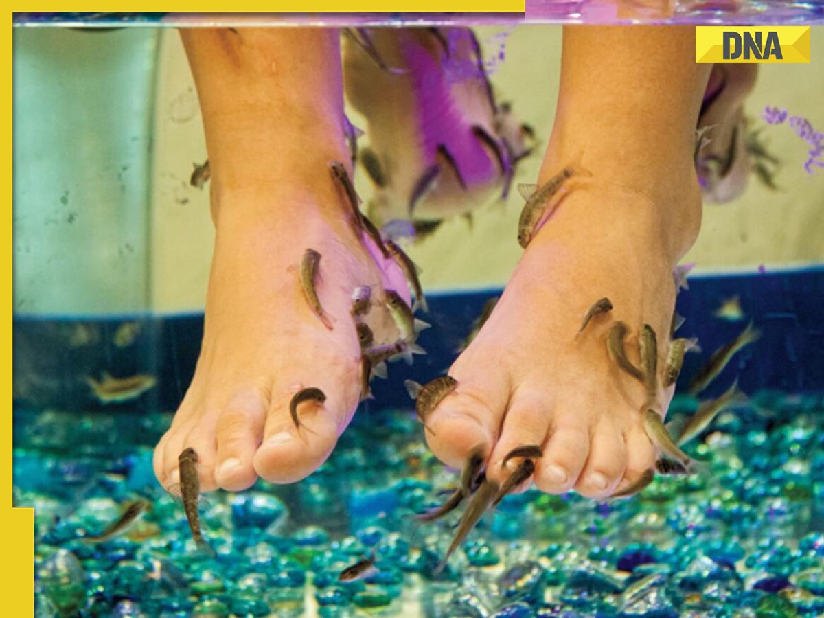 Woman Loses Toes After a Fish Pedicure Session: Beauty Treatment Gone Wrong