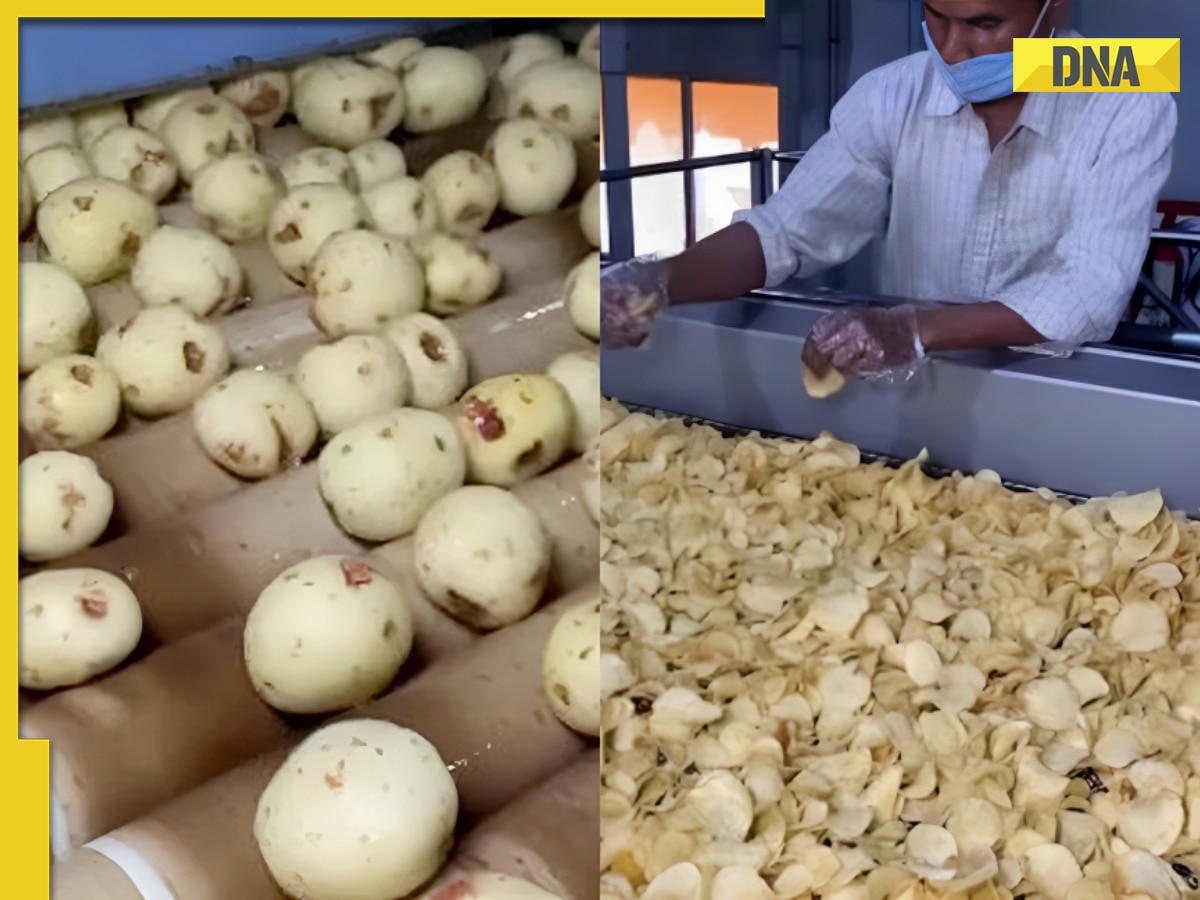 From farm to bag: How potato chips are made – viral video reveals the process