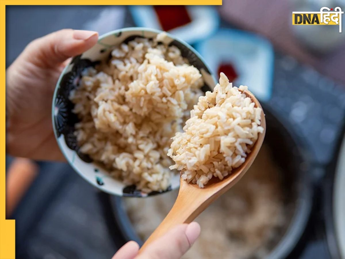 Brown Rice Benefits: डायबिटीज से लेकर कोलेस्ट्रॉल तक को कंट्रोल करता है ब्राउन राइस, मिलते हैं कई जबरदस्त फायदे