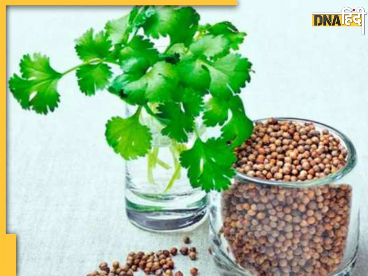 Dhaniya Water Benefits: डायबिटीज समेत इन 8 रोगों का रामबाण इलाज है धनिया का पानी, रोज खाली पेट पीना कर दें शुरू 