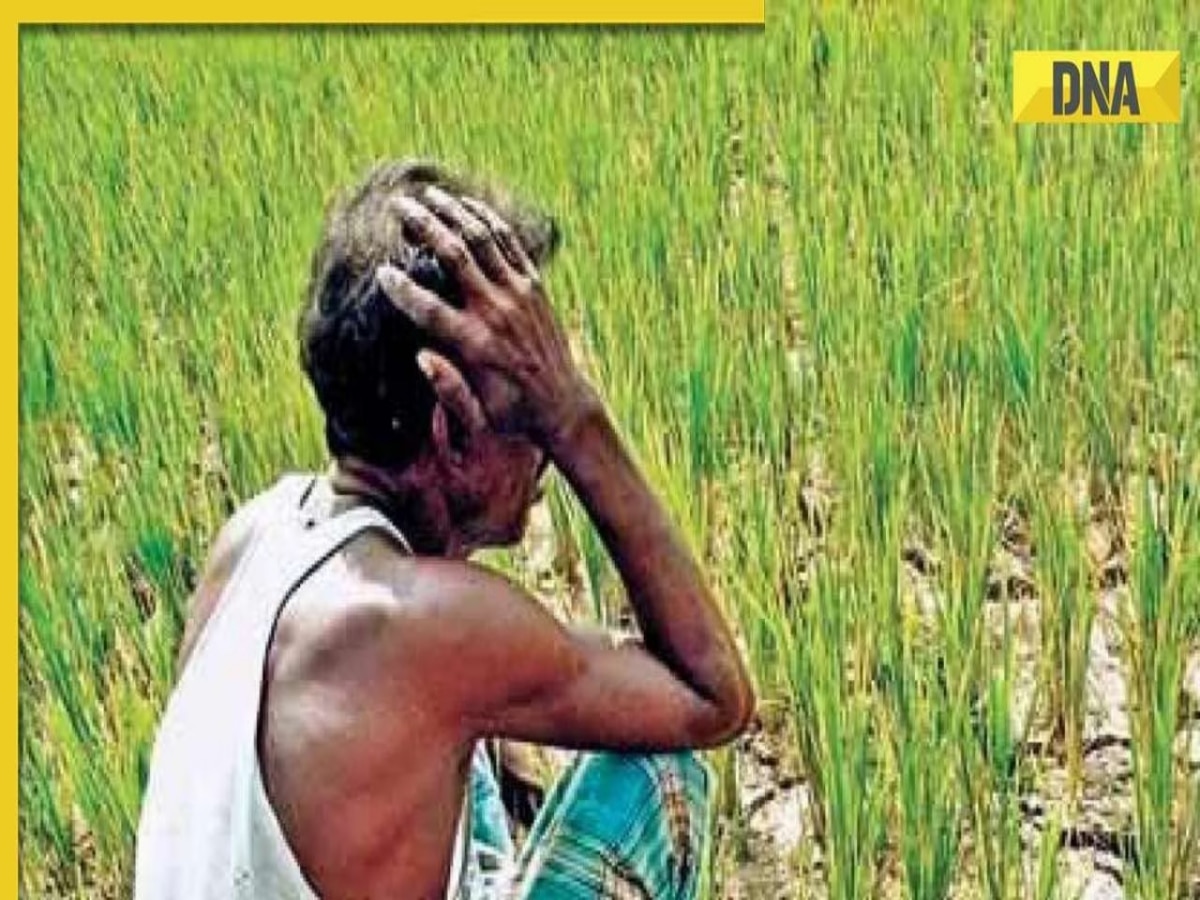 PM Kisan Samman Nidhi Yojana's 15th installment expected on THIS date, check beneficiary status