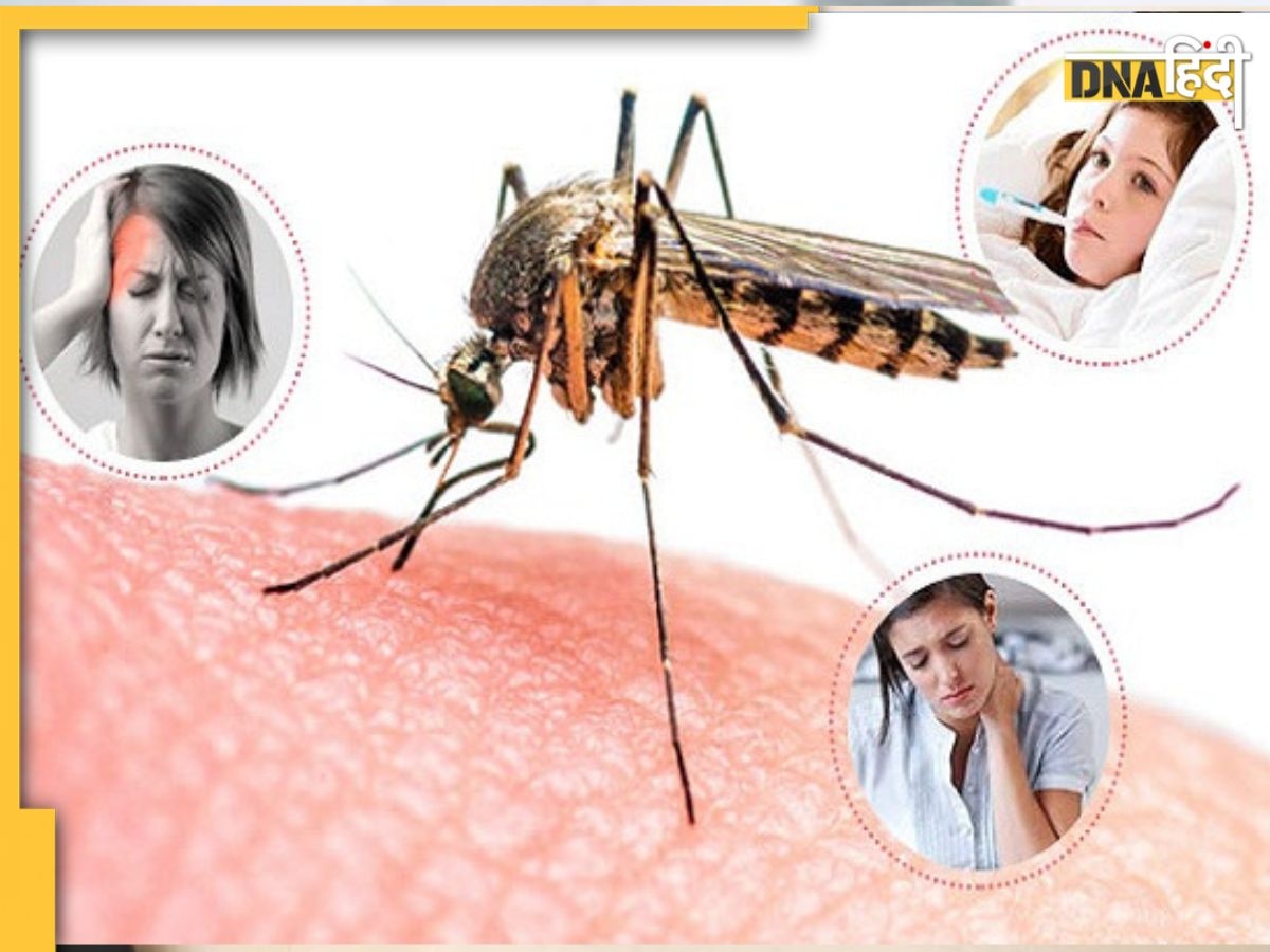 Dengue-Malaria: डेंगू-मलेरिया के लक्षणों में होता है बस ये एक अंतर, गलत इलाज से कैसे बचें