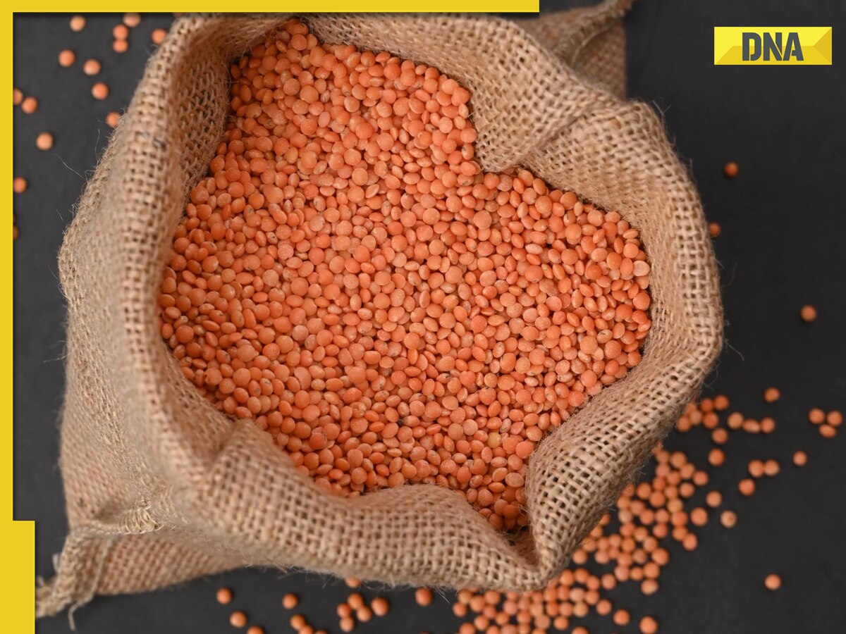 Can diplomatic row with Canada cause masoor dal shortage in India? Here’s how government is preparing