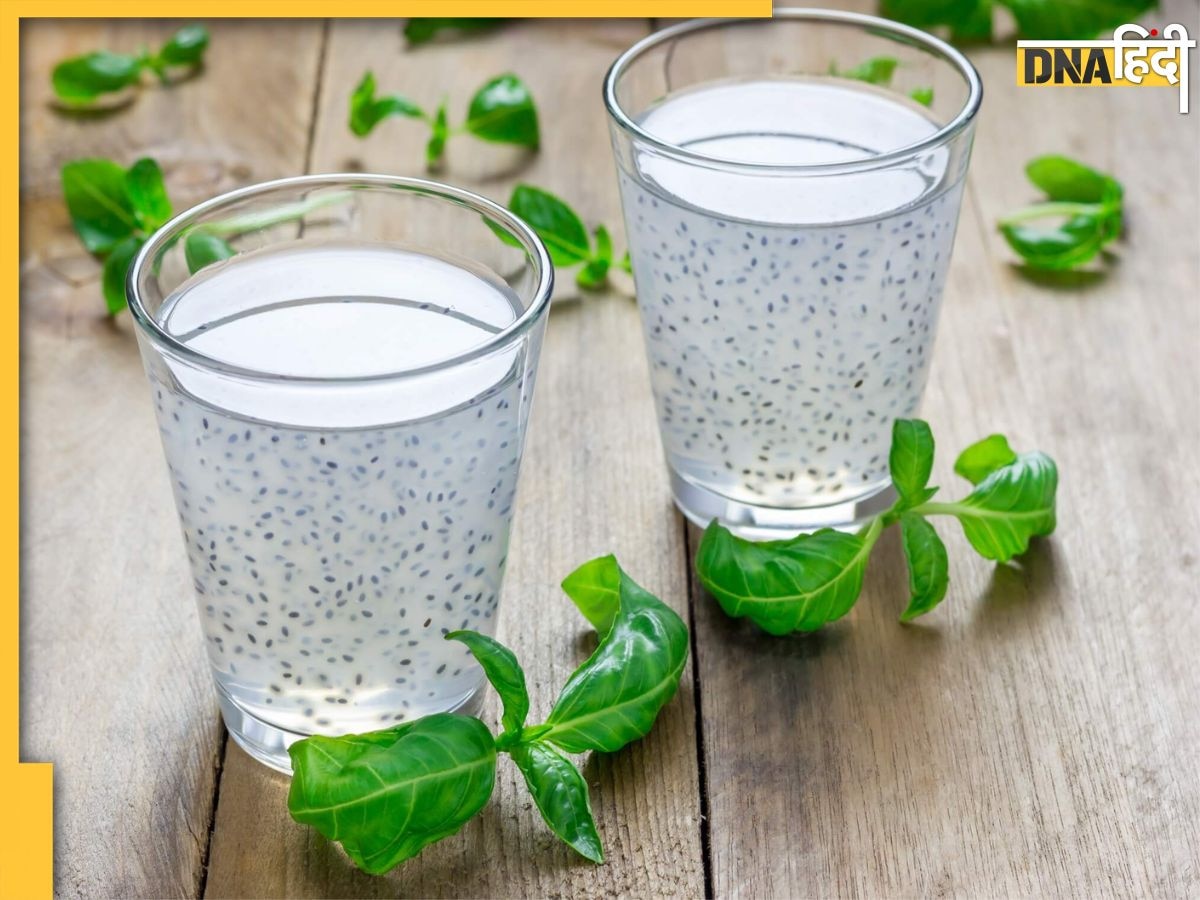 Basil Seed Water: डायबिटीज से लेकर मोटापे तक को दूर कर देगा इन बीजों का पानी, सेहत को मिलेंगे 4 और फायदे