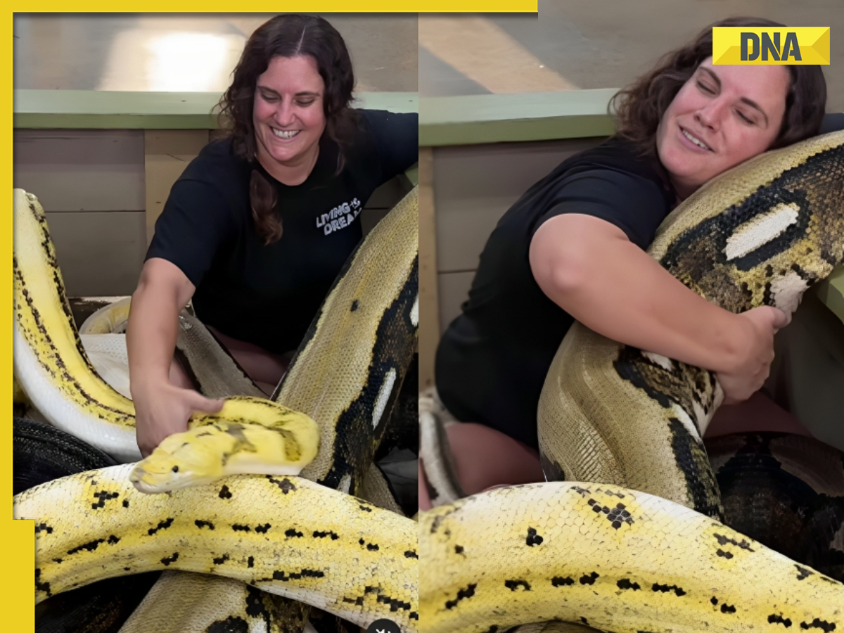 Viral video: Woman's chilling cuddle session with colossal pythons ...