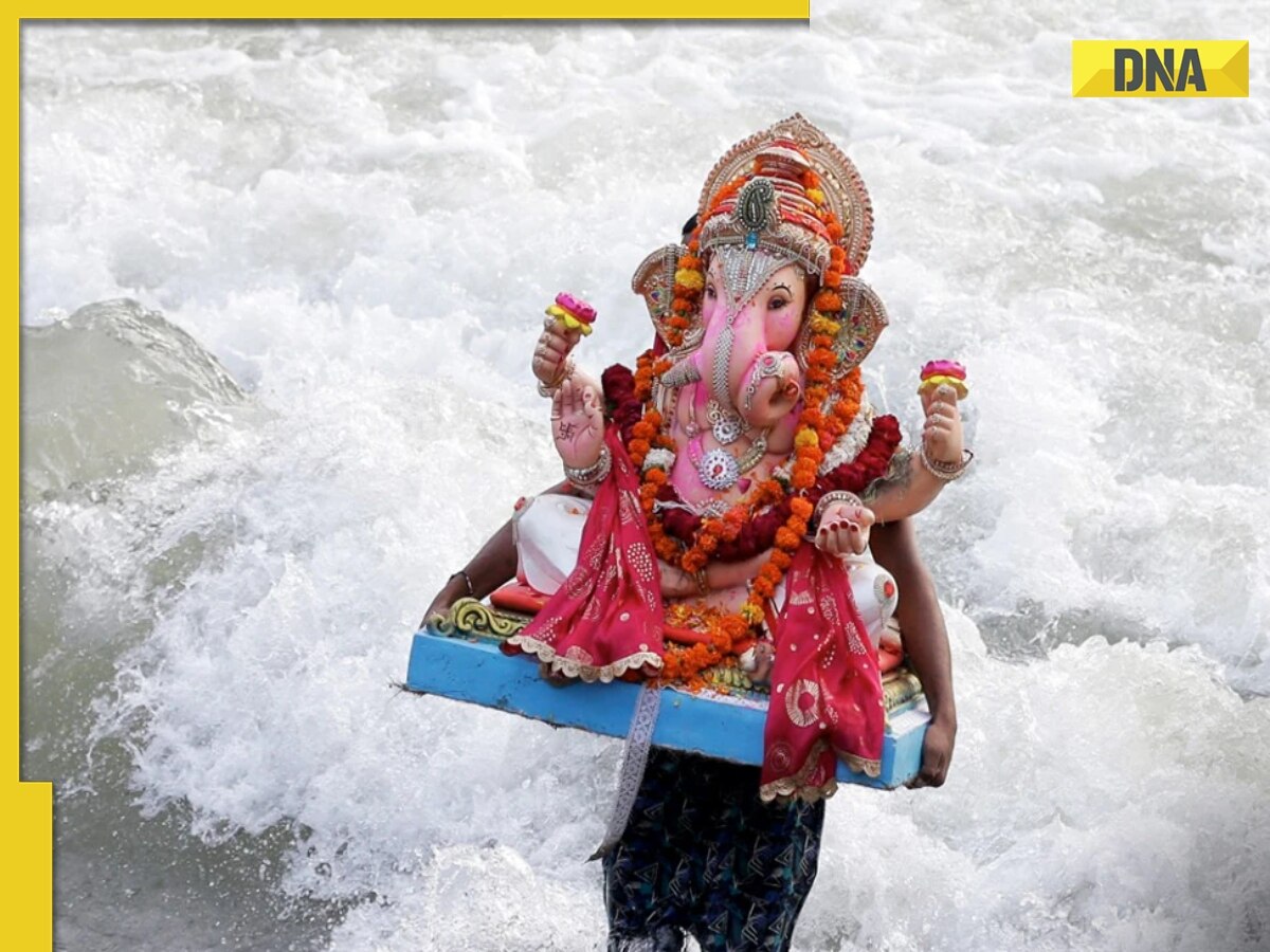 Two minor siblings from Noida drown during Lord Ganesh idol immersion in Delhi's Mayur Vihar