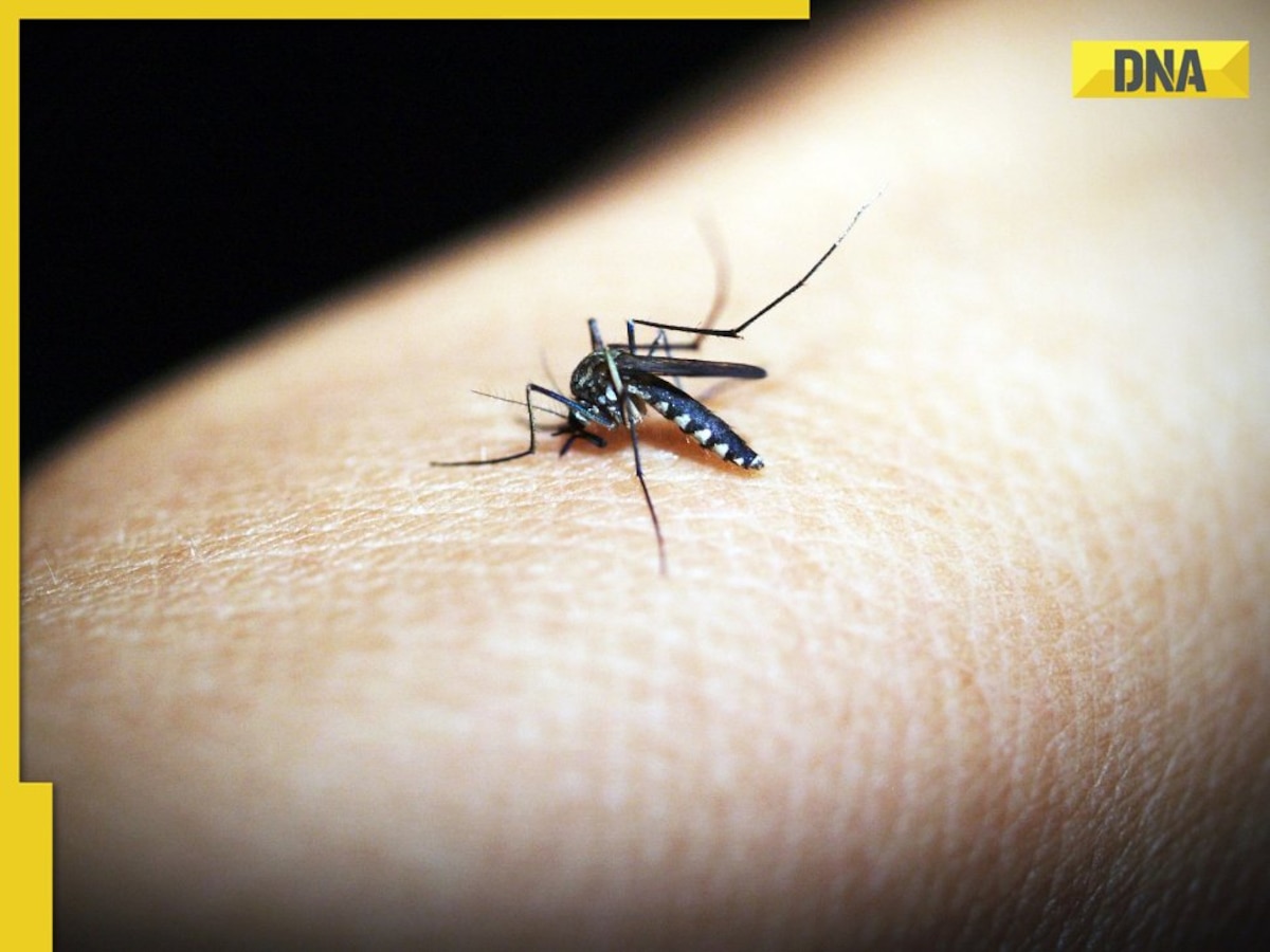 Bangladesh witnesses over 1000 deaths in worst dengue outbreak on record