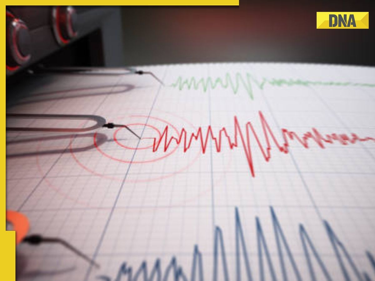 Explainer: Why does Delhi NCR frequently experience earthquakes, what causes seismic activity in region?