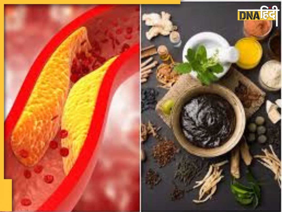 Ayurvedic Remedy For Cholesterol: नसों में फंसे गंदे कोलेस्ट्रॉल को बाहर कर देंगी ये आयुर्वेदिक औषधियां