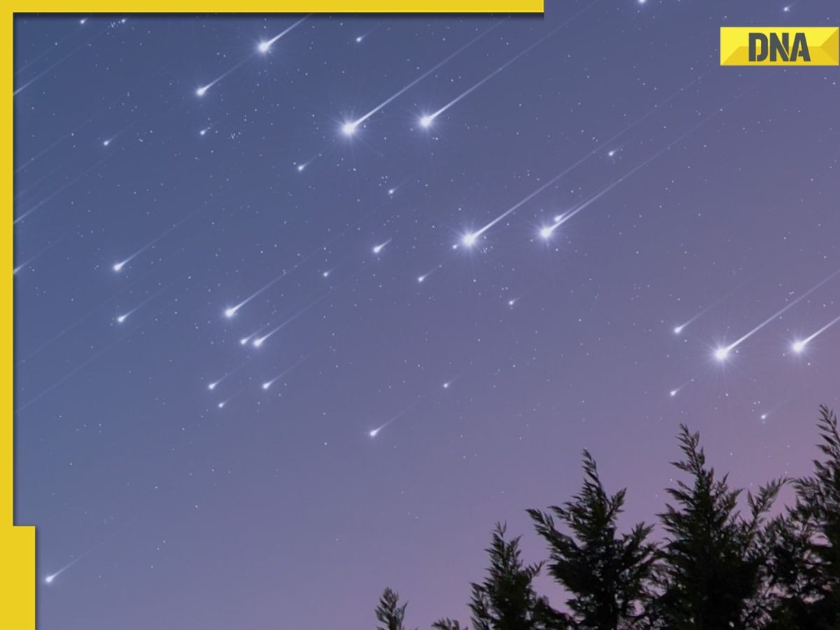 What is Draconic shower, which might cause a meteor storm? All you need