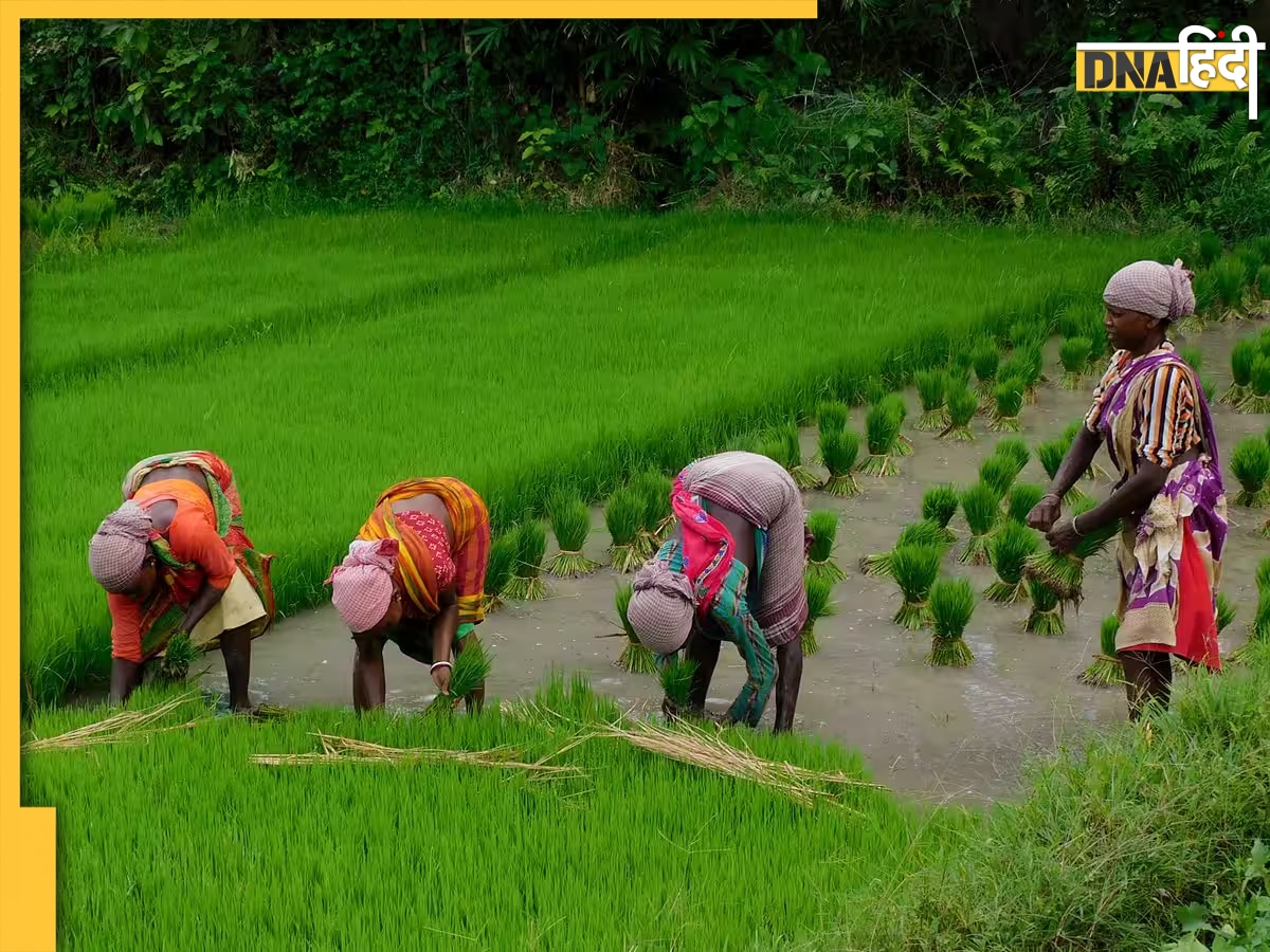 PM Kisan Yojana के किसानों के लिए बड़ी खुशखबरी, किस्त में हो सकती है बढ़ोतरी