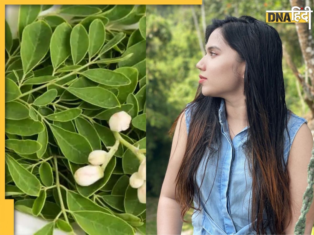 Hair Growth Remedy: रात को सोने से पहले चबा लें ये हरी पत्तियां, महीने भर में घने और लंबे हो जाएंगे बाल