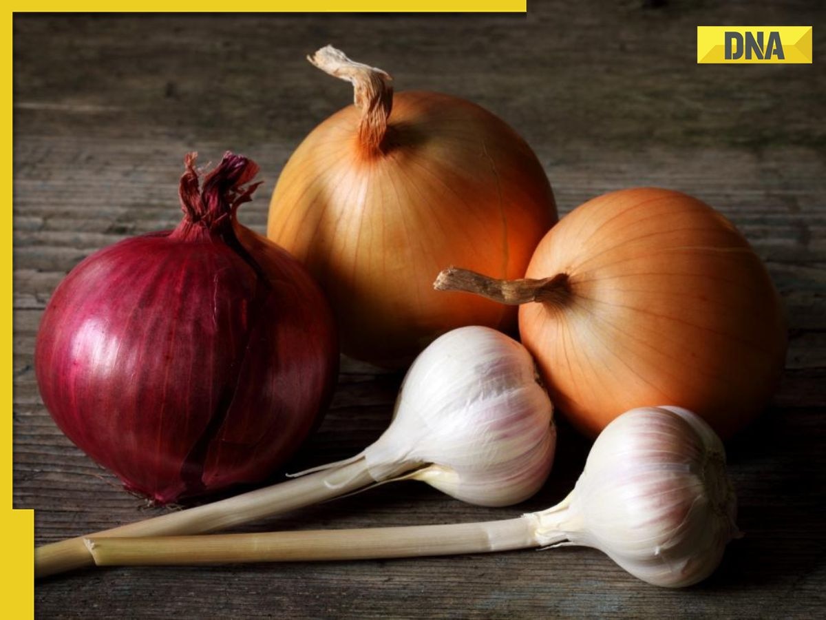 Navratri 2023: Why onion, garlic should be avoided during nine auspicious days