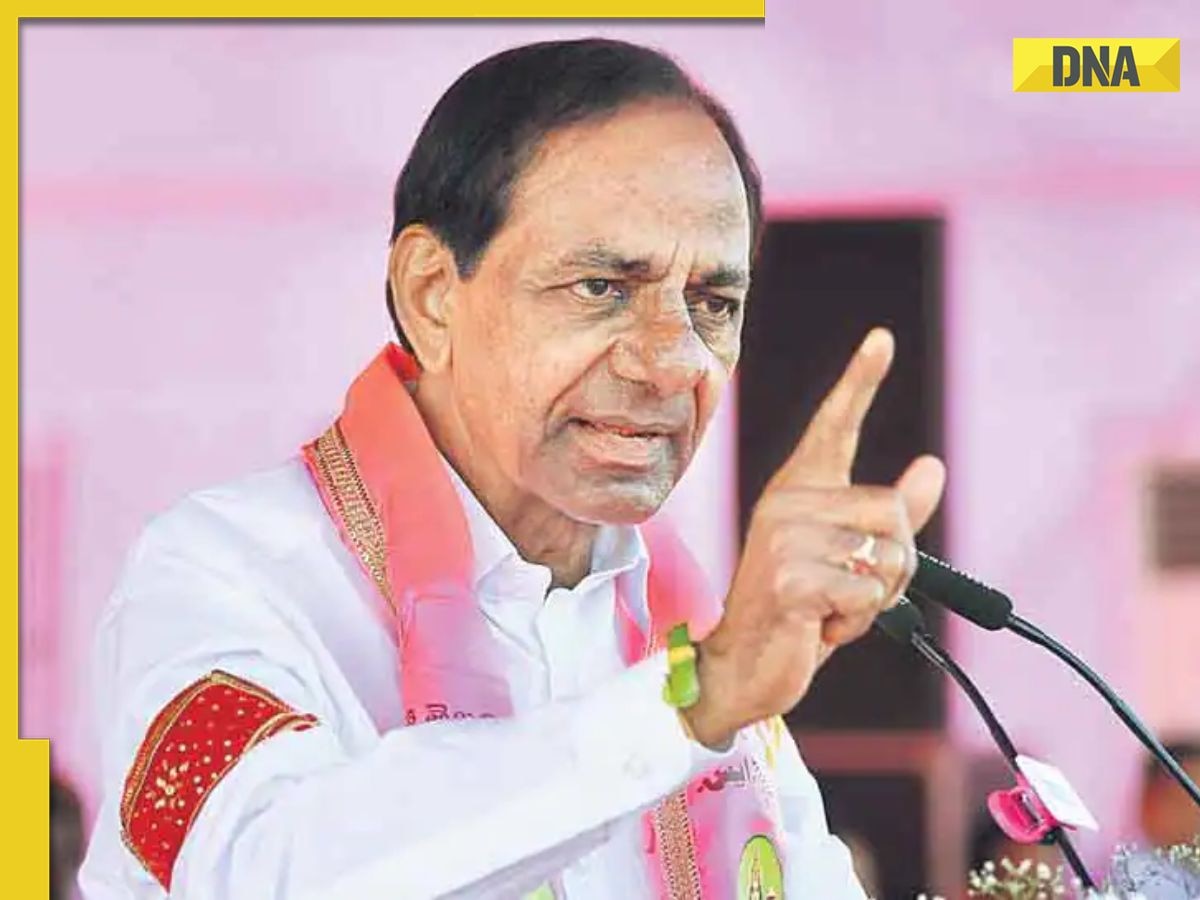 Telangana Elections 2023: LPG at Rs 400 to increased social security pensions, what ruling BRS promises in manifesto