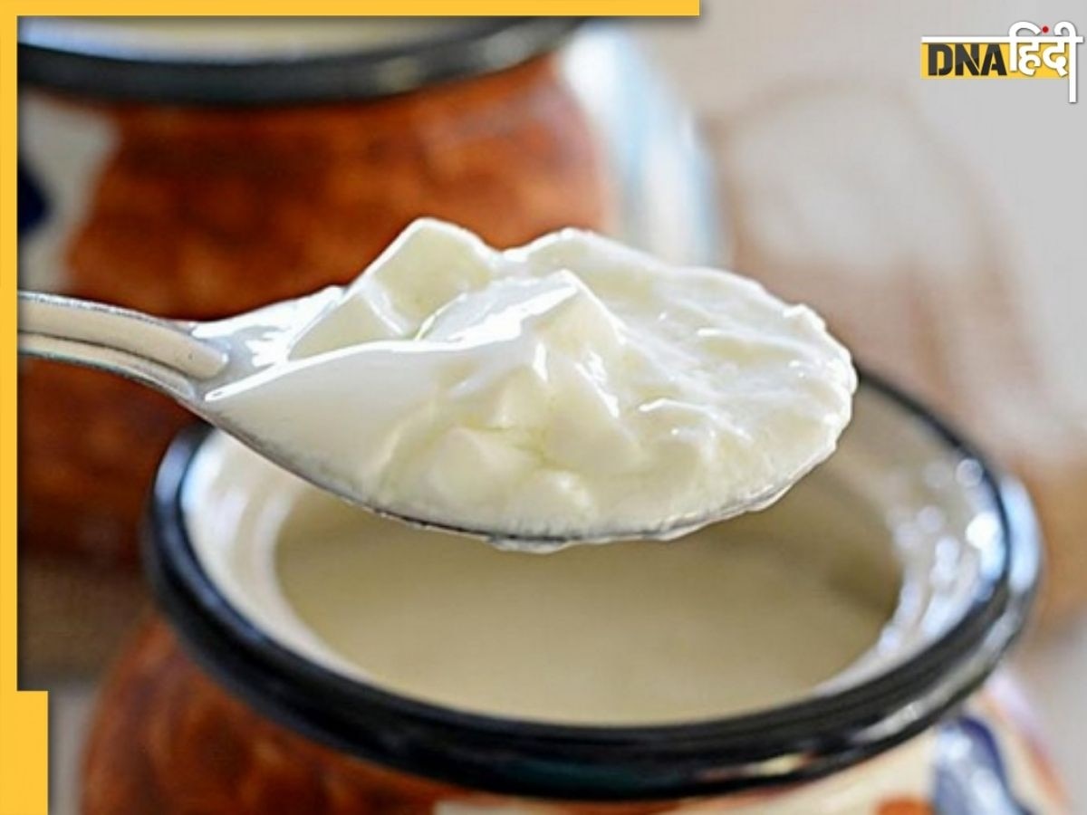 Curd Benefits: वजन कम करने से लेकर पाचन दुरुस्त करने तक इन 5 चीजों में फायदेमंद है दही, डाइट में करें शामिल