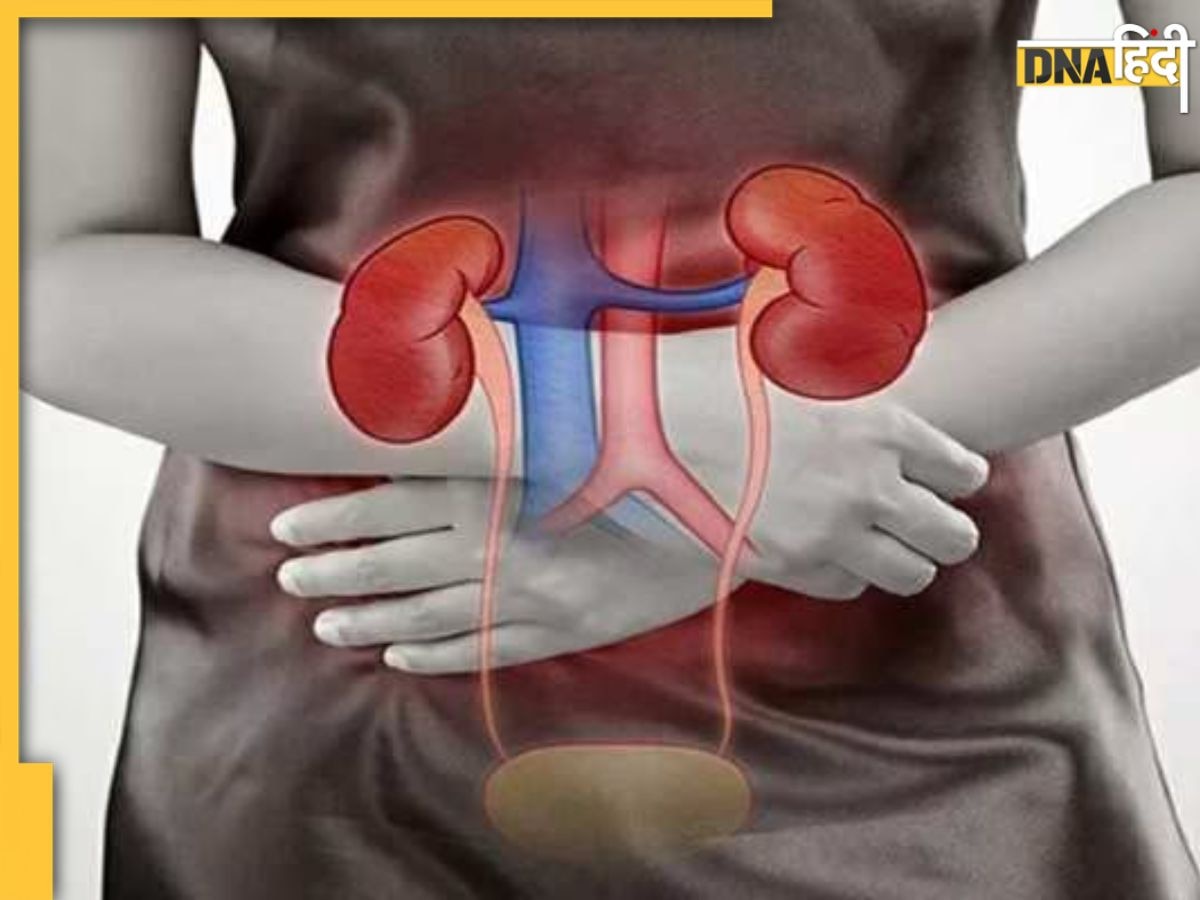 Healthy Kidney Tips: इन आदतों से फेल हो सकती है किडनी, 5 तरीकों से रखें ध्यान