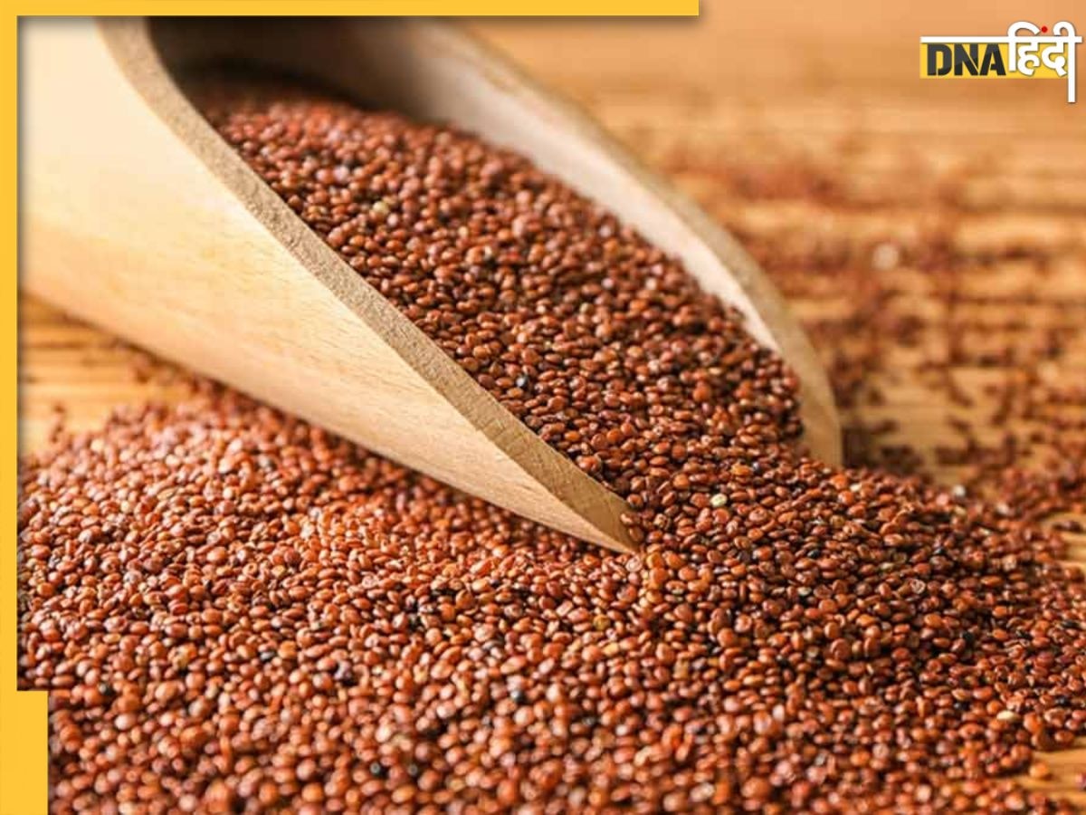 Garden Cress Seeds Benefits: पोषक तत्वों का भंडार है ये छोटे लाल बीज, खाने से मिलेंगे 5 बड़े फायदे