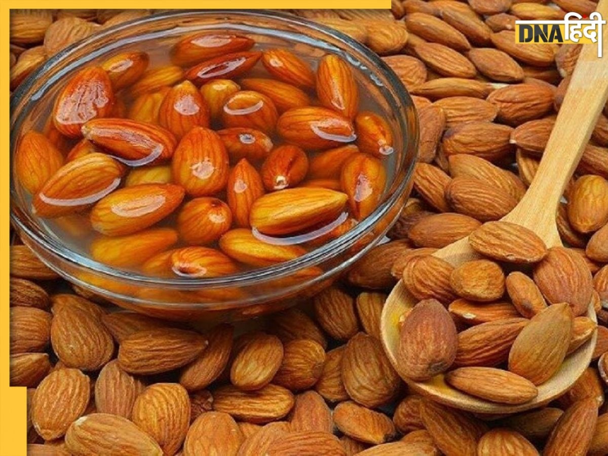 Benefits Of Soaked Almonds: भीगे बादाम खाने से मिलते हैं कई फायदे, जानें क्यों दी जाती है इन्हें भिगोकर खाने की सलाह