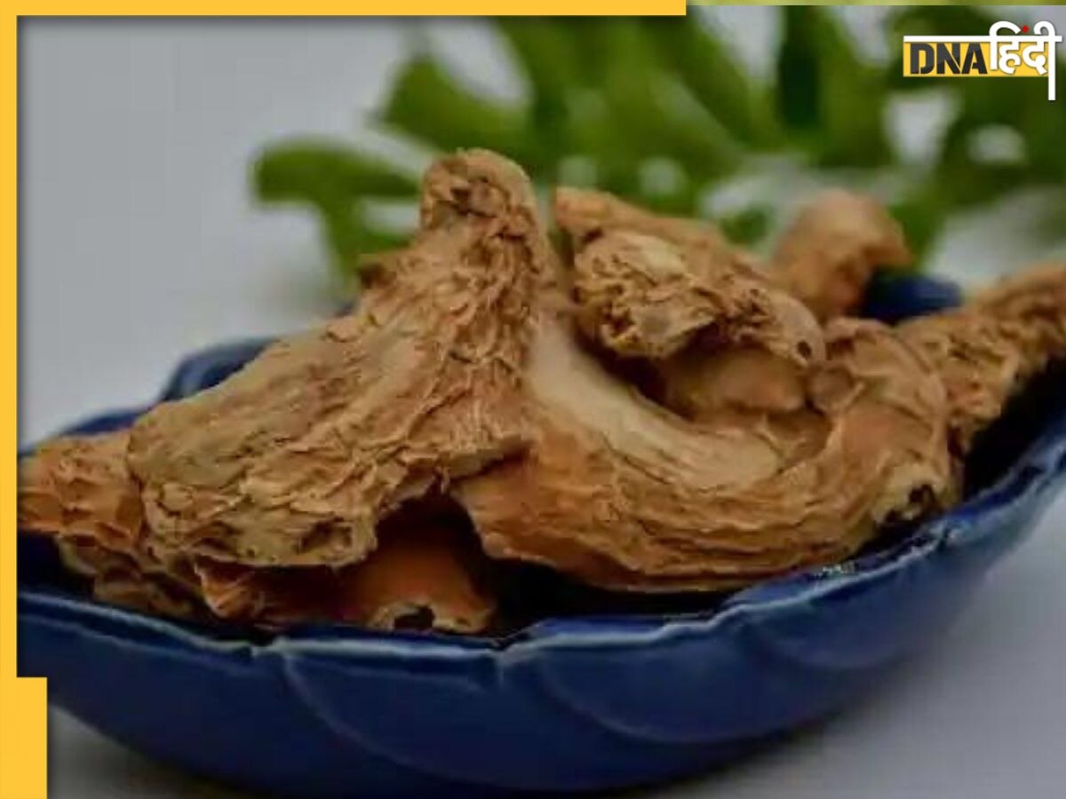 Sore Throat Remedy: बदलते मौसम में वायरल और सर्दी-जुकाम से बचना है तो जरूर खाएं ये 4 जड़ी-बूटियां