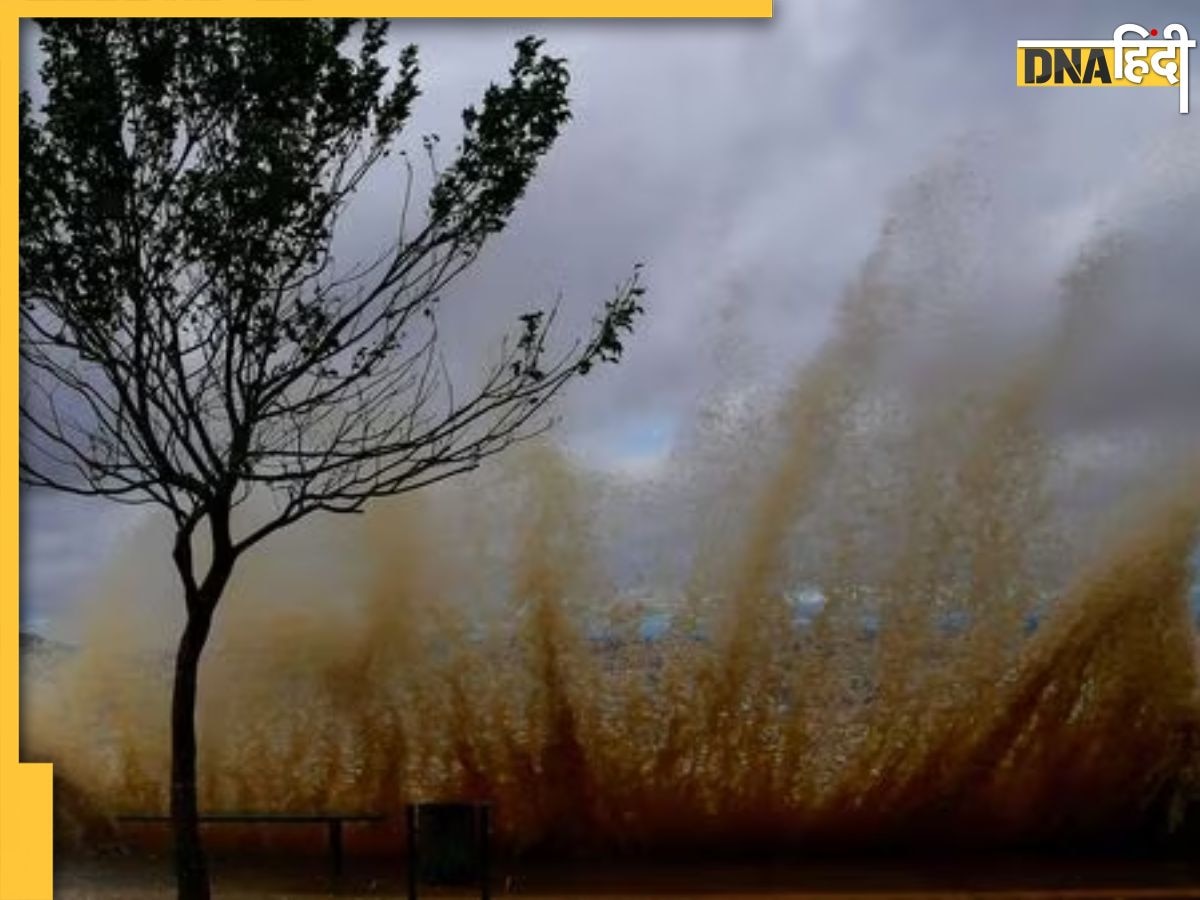 Cyclone Hamoon: बंगाल पर मंडराया हामून चक्रवात का खतरा, सरकार ने जारी किया अलर्ट