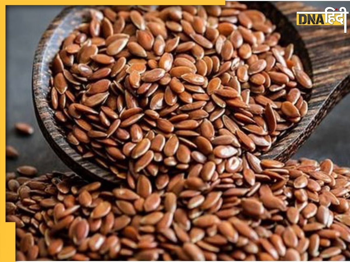 Flaxseeds Side effects: अलसी के भूरे बीजों को खाने के फायदों के अलावा होते हैं नुकसान, जानें कैसे खराब कर सकते हैं आपकी हेल्थ