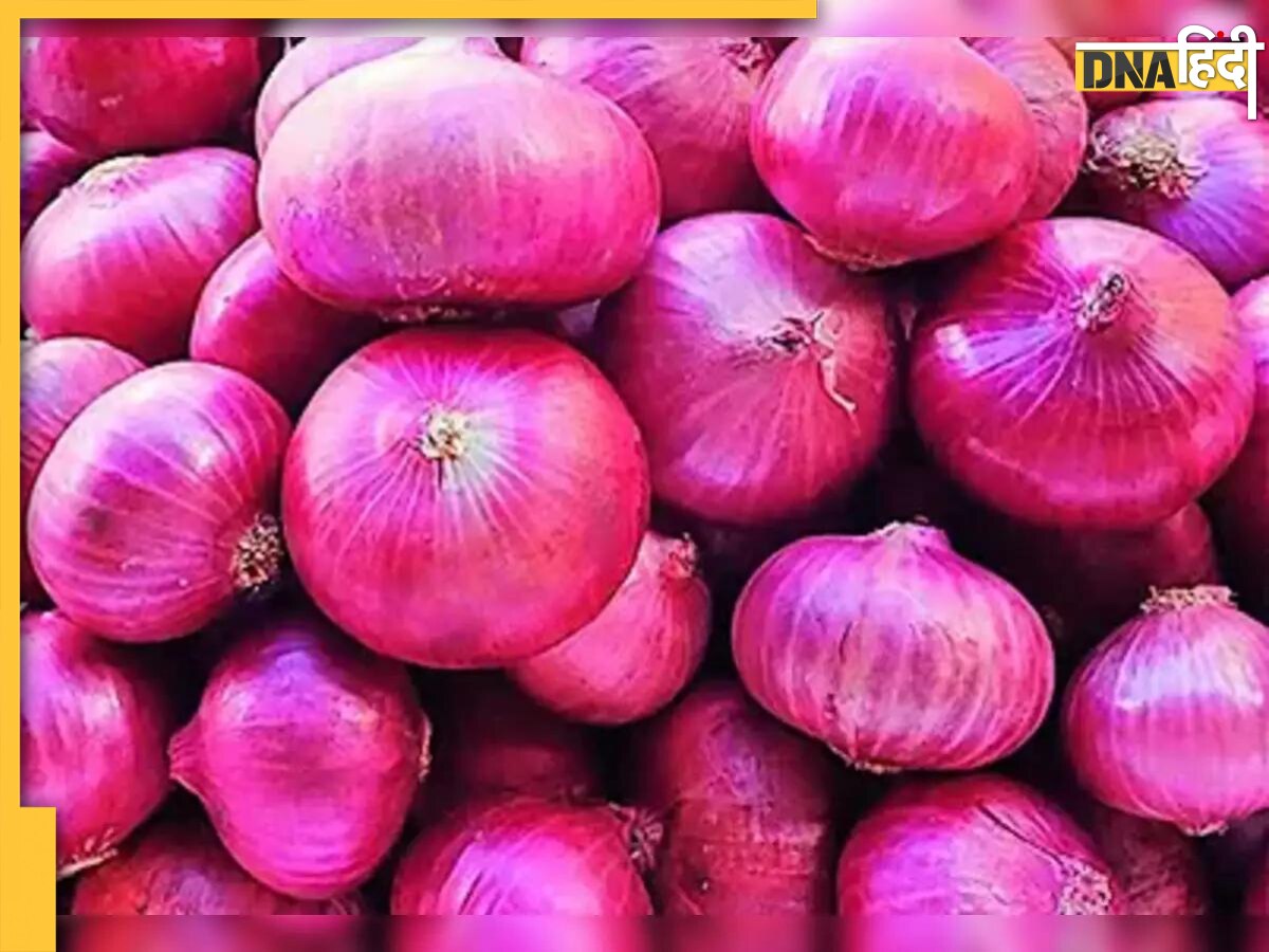 Onion Price Hike: प्याज पहुंचा 55 रुपये प्रति किलो पार, क्या आगे भी बढ़ सकती हैं कीमतें