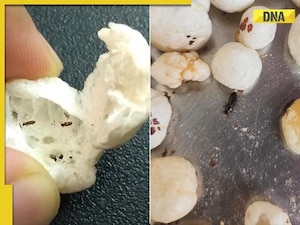 Man discovers insects in makhanas ordered from Flipkart, brand reacts