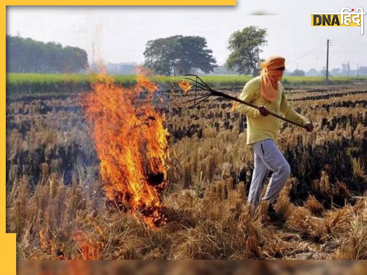 PM Kisan Yojana: पराली जलाने वाले किसान हो जायें सावधान, वरना देना पड़ सकता है जुर्माना