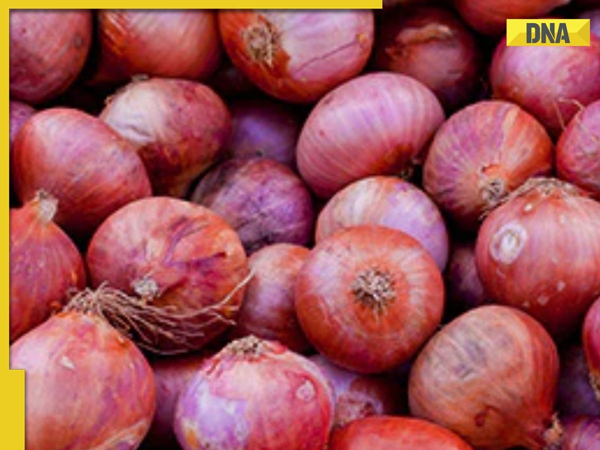 Centre imposes minimum export price of USD 800 per tonne on onion till Dec 31 