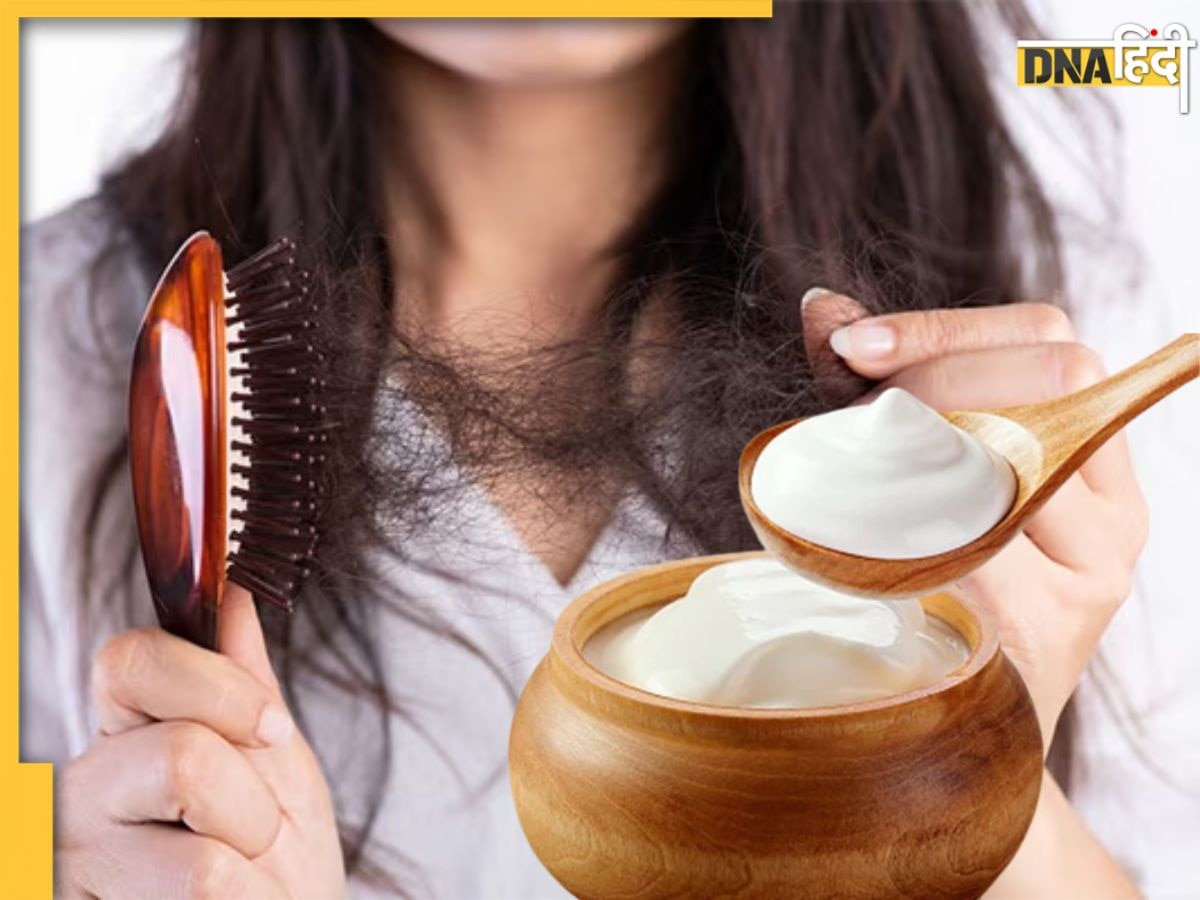 Hair Fall Remedies: तेजी से झड़ रहे बालों पर रोक लगा देगा दही का इस्तेमाल, इन चीजों को मिलाकर लगाने से होगा फायदा