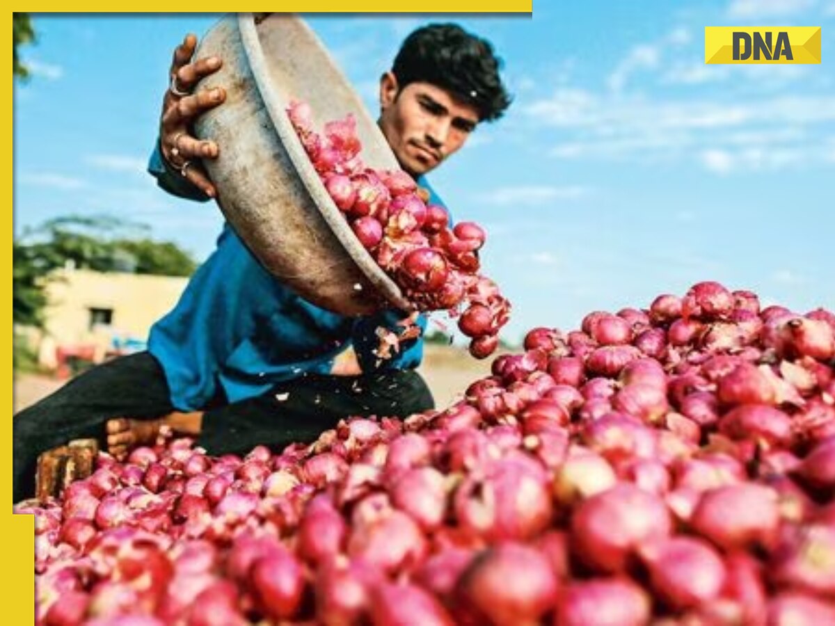 After tomatoes, Delhi-NCR sees spike in onion prices; rates to hit Rs 100 per kg soon, know reason