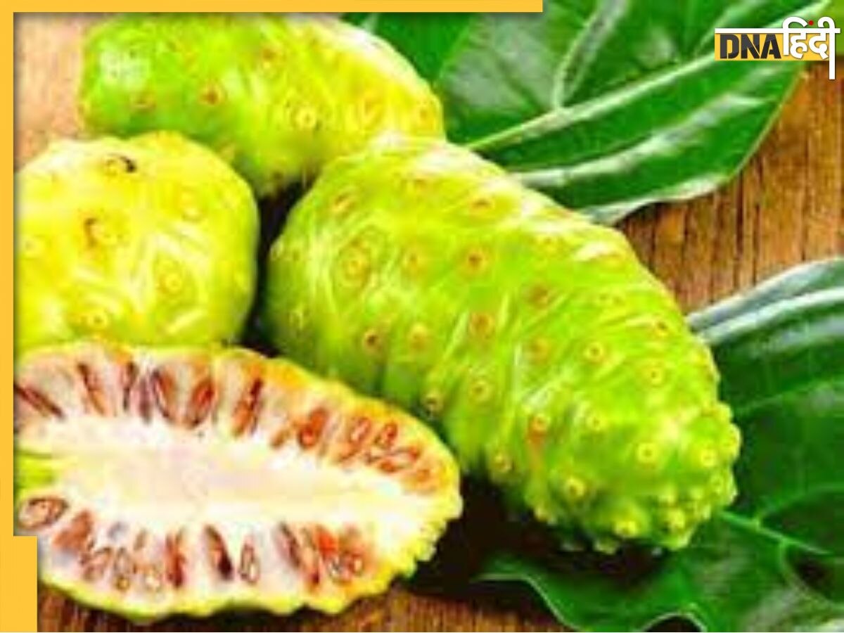 Noni Fruit For Diabetes: डायबिटीज मरीज बस 30ml पी लें इस फल का जूस, हमेशा कंट्रोल में रहेगा ब्लड शुगर